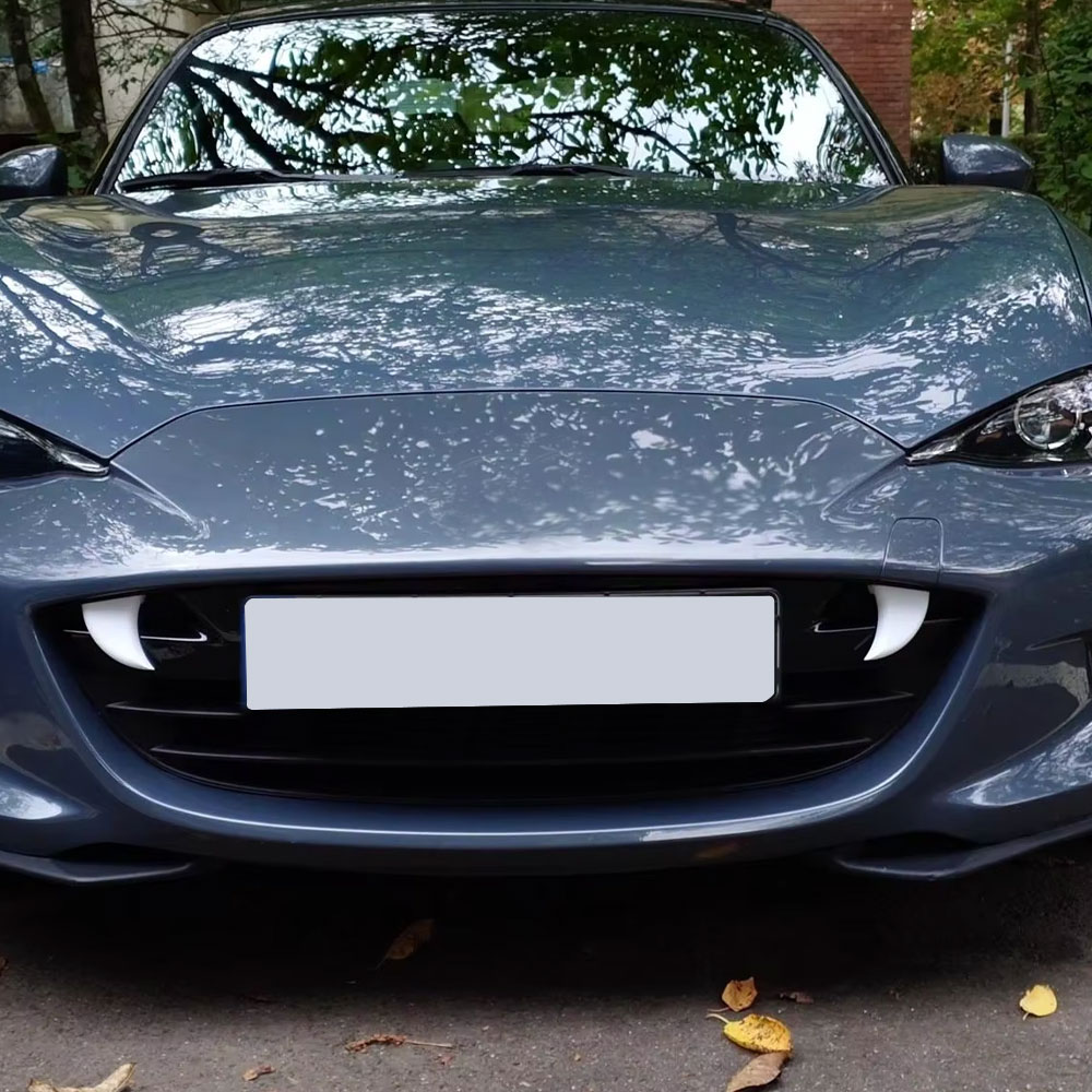 2pcs Car Front Grille Styling  - 3D Printing Car 评论和价格